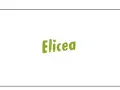 Zielona, ręcznie pisana nazwa "Elicea" na białym tle.
