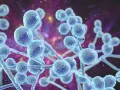 Grzybica ucha objawy – poznaj niepokojące symptomy infekcji