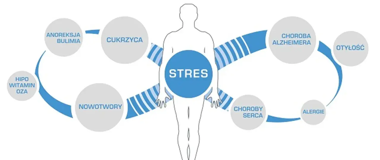 Stres jako źródło wielu chorób cywilizacyjnych: anoreksji, bulimii, cukrzycy, nowotworów, chorób serca, Alzheimera, alergii i otyłości.