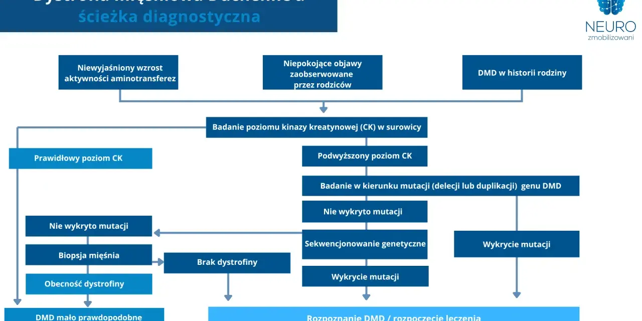 Schemat diagnostyczny dystrofii mięśniowej Duchenne'a (DMD). Analiza objawów, poziomu CK, badań genetycznych i biopsji mięśnia prowadzi do rozpoznania DMD.