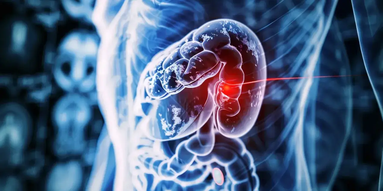 Anatomical visualization of a human torso, highlighting a significantly enlarged spleen with a red glow indicating an issue.
