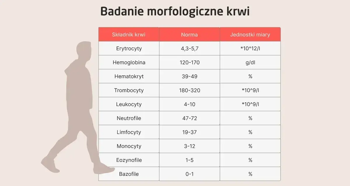Tabela z badaniem morfologia krwi: składniki, normy i jednostki miary. Obok sylwetka człowieka.