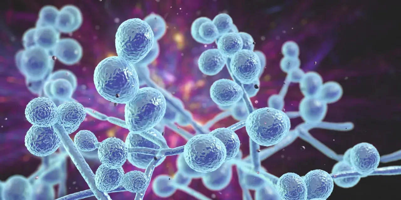 Grzybica ucha objawy – poznaj niepokojące symptomy infekcji