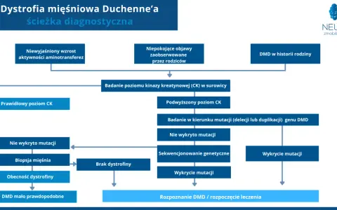 Schemat diagnostyczny dystrofii mięśniowej Duchenne'a (DMD). Analiza objawów, poziomu CK, badań genetycznych i biopsji mięśnia prowadzi do rozpoznania DMD.