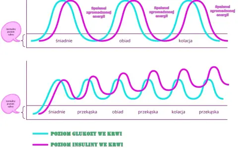Wykresy pokazują poziomy glukozy i insuliny po posiłkach. Górny wykres ilustruje reakcję na śniadanie, obiad i kolację, dolny zaś na mniejsze posiłki. Test obciążenia glukozą analizuje te wahania.
