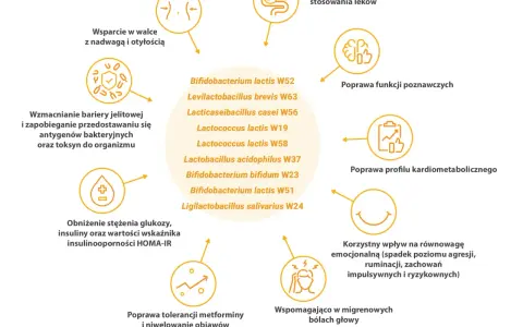 Diagram przedstawia korzyści z probiotyków, m.in. wsparcie w walce z nadwagą, poprawę funkcji poznawczych i tolerancji metforminy.
