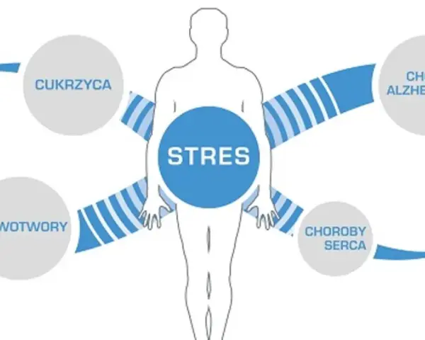 Stres jako źródło wielu chorób cywilizacyjnych: anoreksji, bulimii, cukrzycy, nowotworów, chorób serca, Alzheimera, alergii i otyłości.