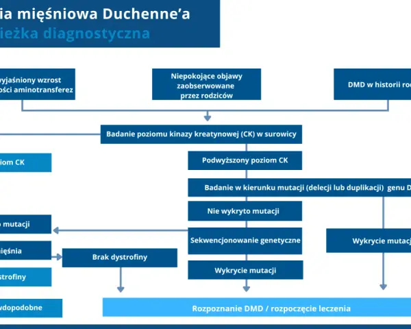 Schemat diagnostyczny dystrofii mięśniowej Duchenne'a (DMD). Analiza objawów, poziomu CK, badań genetycznych i biopsji mięśnia prowadzi do rozpoznania DMD.