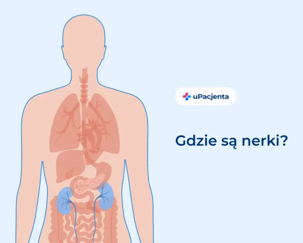 Ilustracja pokazuje ludzkie ciało z zaznaczonymi narządami wewnętrznymi. Dwa niebieskie organy, umiejscowione w dolnej części pleców, to nerki. Pytanie "Gdzie są nerki?" sugeruje, że ten obszar może boleć.