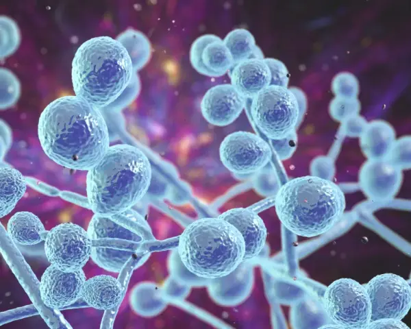 Grzybica ucha objawy – poznaj niepokojące symptomy infekcji