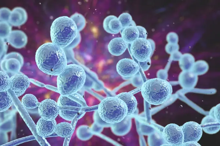Grzybica ucha objawy – poznaj niepokojące symptomy infekcji