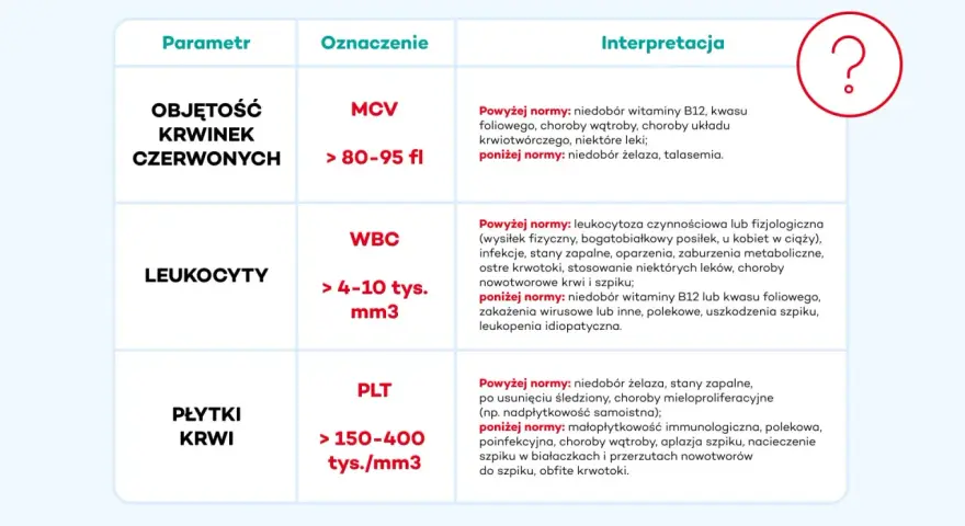 Tabela interpretacji wyników badań krwi: leukocyty (WBC) powyżej normy mogą oznaczać leukocytozę, np. przy infekcjach.
