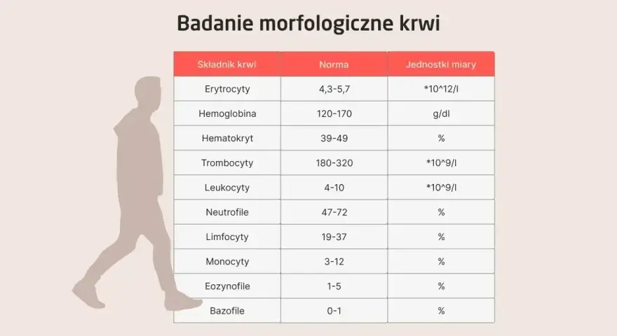 Tabela z badaniem morfologia krwi: składniki, normy i jednostki miary. Obok sylwetka człowieka.