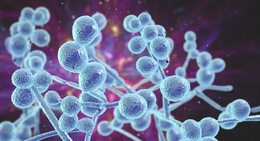 Grzybica ucha objawy – poznaj niepokojące symptomy infekcji