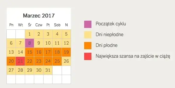 Zdjęcie Ile dni po owulacji jest się płodnym? Odkryj kluczowe informacje